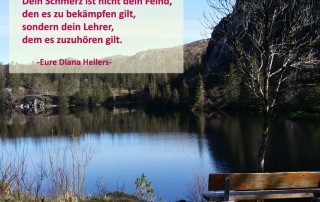 Dein Schmerz