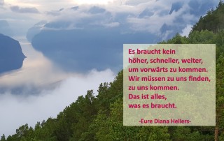 Was es braucht Diana Hellers